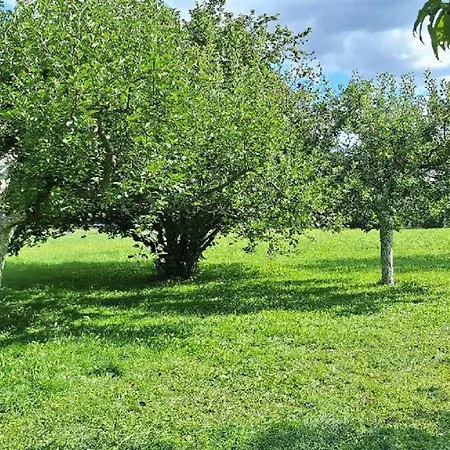Maringotka Pod Liskou Campingplads Suchovrsice