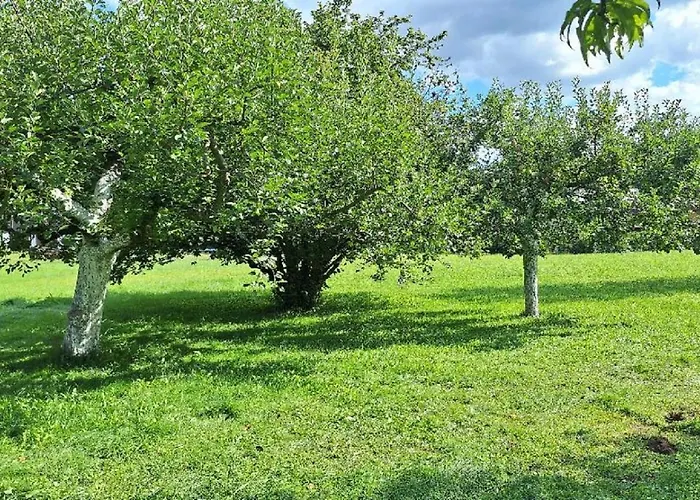 Maringotka Pod Liskou Кемпинг Suchovrsice